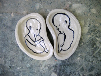 Kathrin Bauer embryos.jpg